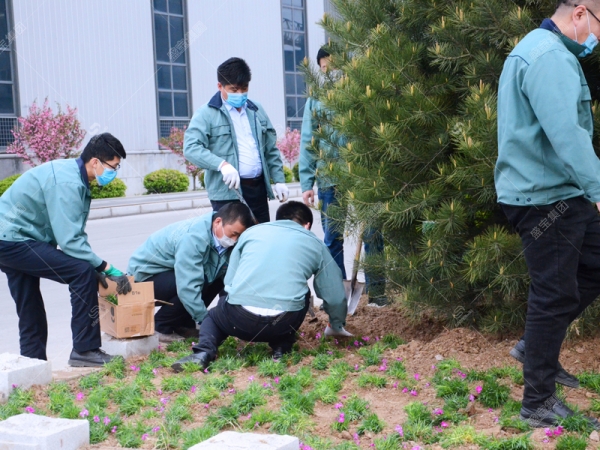 植樹節(jié)活動